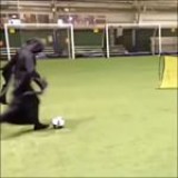 Insane skills from the Grim Reaper last night ???????? #halloween #skills ??www.soccertrials.com?? .
Credit: @gps_soccerassassins .
•Want to be coached by the best? • ???? Double tap & Tag your friends!
.
.
#futbol#soccer#skills#goals#golazo#skillshow#soccerskills#messi#cr7#neymar#pogba#suarez#likes#instagram #trials#soccertrials #afc #skills #inspiration#motivation #football #barcelona #barca #realmadrid #freekick #challenge #fifa17 #win